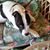 Ronaele Woodman Jacobsen's profile image