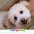Angela Lone Rowin-Tippit's profile image