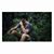 Tanmoy Sur's profile image