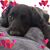 Maureen Gallagher's profile image