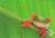 Julie A.'s profile image