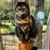 Sue Mackin-Smith's profile image