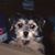 Sharon Elberson's profile image