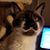 Lisa L Sculley's profile image