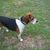 Becky Reichle Guidry's profile image