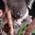 Elly Menegus's profile image