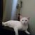 Yeya Wilson's profile image