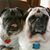 Frances Magarelli Bennett's profile image
