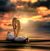 Pam Teter Eldridge's profile image