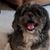 Sandy Hays's profile image