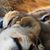 Kim Winchell's profile image