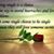 Renee Csuy - Casto's profile image