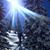 James McCreight's profile image