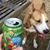 Pamela Miller Meerbrey's profile image