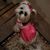 Tim Mary Tenny's profile image