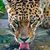 Tammy Lynne Grzechowiak's profile image