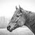 Shannon Appleby's profile image