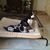 Marylee Reagan-Schanen's profile image