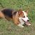 Barbara Schaeffer's profile image
