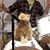 Bruce Kopec's profile image