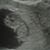 Angela Salas-Widener's profile image