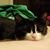 Crissi Roop's profile image