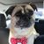 Tracee Chretien's profile image