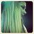 Carly Nicole's profile image