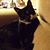 Heather Marinelli's profile image