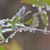 George AndSharon Sproul's profile image