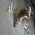Raymond Lease's profile image
