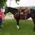 Kelly Kennedy-Carlson's profile image