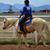Connie Lane's profile image