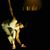 Dawn Joella Jackson's profile image