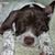 Lydia Seibert's profile image