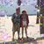 Theresa Brown's profile image