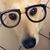 Ricky Rettinhouse's profile image