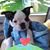 Karen Meagher's profile image