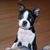 Sally Claypool Law's profile image