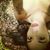 Lizette Martinez's profile image