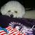 Robin Bacher's profile image