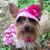 Tonya Bledsoe's profile image