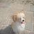Katherine Harriman's profile image