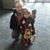Andrew Sempos Anastasia's profile image