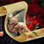 Tom Grant's profile image