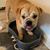 Kristie Winfield Martin's profile image