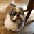 Sharon Drozdowsky Perkins's profile image