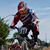 Mike Taylor's profile image