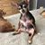 Charlie Vetter's profile image