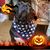 Varga Alex's profile image